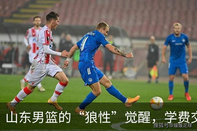 山东男篮的“狼性”觉醒，学费交到位了！