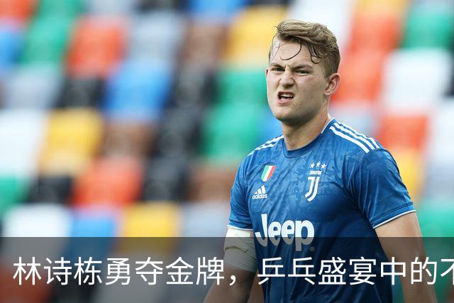 林诗栋勇夺金牌，乒乓盛宴中的不和谐旋律
